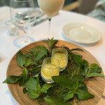 エルミタージュ ドゥ タムラ - 