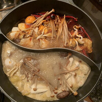 CINA New Modern Chinese - 