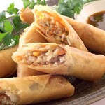 Spring rolls with lots of ingredients