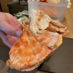 茜坂大沼 - マスタケ