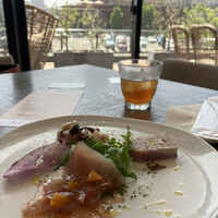 COLONIAL BEACH 横浜ハンマーヘッド - 