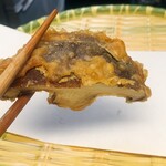 天ぷら はせ川 - 肉厚で甘味あり