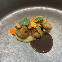 クイントカント - 