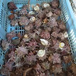 テラスレストラン エナ - 