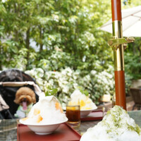 東山庭 Higashiyama Garden - 