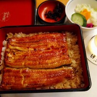 鰻割烹 伊豆栄 本店 - 