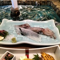 河太郎 中洲本店 - 烏賊は1人前づつ提供