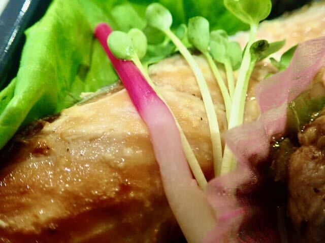 夢の風 とみや - 富谷町その他（弁当）の写真