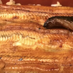 神田きくかわ - ふっくら焼き上がり