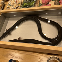 三宅輝 - 