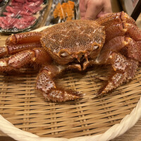 三宅輝 - 