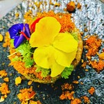 宮城直送 かきほや飛梅 - 