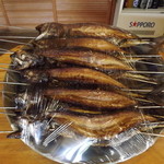 こはく庵 - カウンターに置いてあった福井名産「焼き鯖」１２匹の集団　