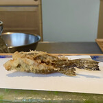 にい留 - メゴチ