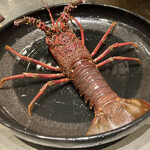 八重洲 steak & seafood 鉄板焼き 一心 - 