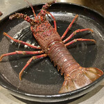 八重洲 steak & seafood 鉄板焼き 一心 - 