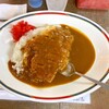 ジャンボカレー