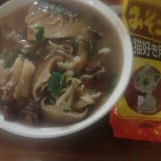 くらしの雑貨と写真スタジオ なごみ_0