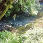 カメヤ 柿田川豆腐館 - 