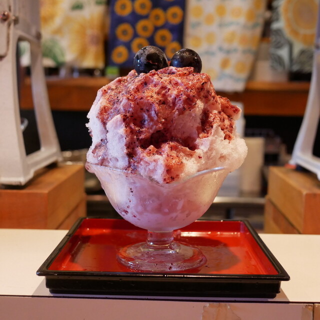 KIIRO ソフビ アイスクリームフロート キイロ ASAYOSHI drink 》 大人気なフロート！ ドリンク×16種類のアイスクリーム
