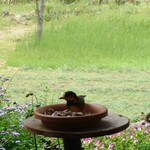 くつきそば 永昌庵 - 