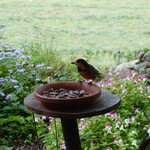 くつきそば 永昌庵 - 