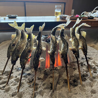 柳家 - キャーキャー圧巻の鮎たちのお姿！！