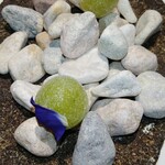 ラ・ヴァガボンド - 