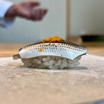 鮨 なんば - 小肌