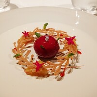 ジョンティ アッシュ - 