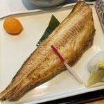 阿特卡鯖魚