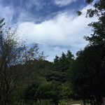 アビオファームズマーケット - 代々木公園上空：9月初旬