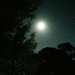 アビオファームズマーケット - 中秋の名月