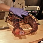 御料理 まつ山 - 伊勢海老デカっ！！