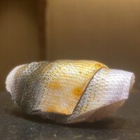 鮨処 やまと - 