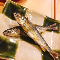 鮨　まつ本 - 