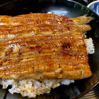 うなぎ秋本 -  うなぎ秋本 -