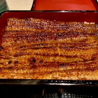 うなぎ 目白ぞろ芽 - 