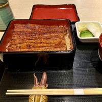 うなぎ 目白ぞろ芽 - 