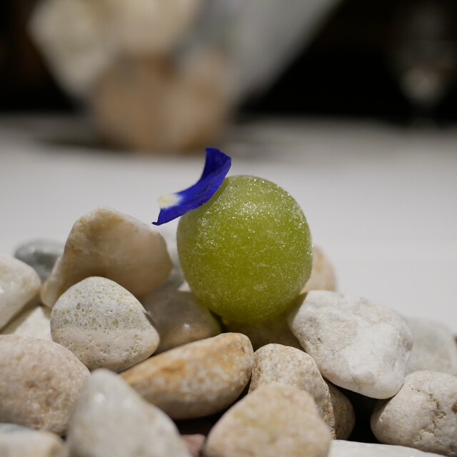 LA VAGABONDE photo 4