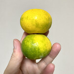 八百屋 たこ焼き 壮 - 味みかん