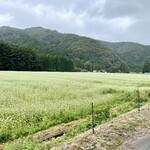 中地手打そば MARU壱 - 湖南町に広がる蕎麦の花