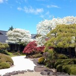 つくば 山水亭 - 中庭：春には白のハナミズキが満開です。