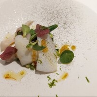 recte - 今日の逸品