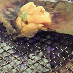 Shichirin Yaki Osakana Kuwaeta Doraneko - 