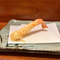 天冨良 よこ田 - 