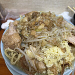 ラーメン富士丸 - 料理写真:ドサっと盛り付け。