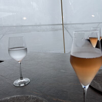 International cuisine subzero - 