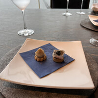 International cuisine subzero - 