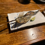 居酒屋 ちょーちょ - 